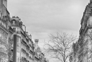 Grayscale photo of classic Parisian architecture with bare trees.