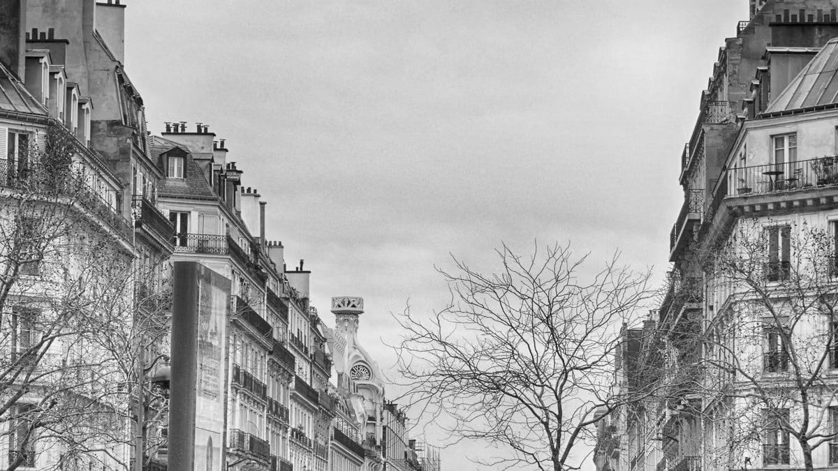 Grayscale photo of classic Parisian architecture with bare trees.